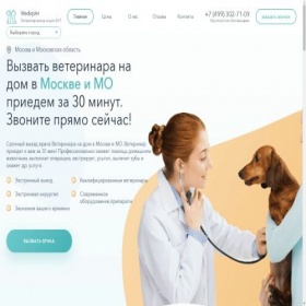 Скриншот главной страницы сайта veterinar-03.ru