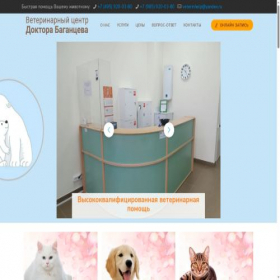 Скриншот главной страницы сайта veterinhelp.ru