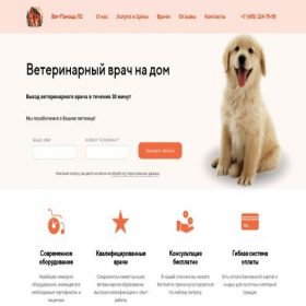 Скриншот главной страницы сайта vethelpermsk.online