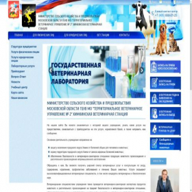 Скриншот главной страницы сайта vethimki.ru
