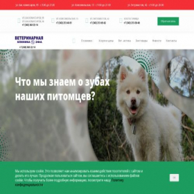Скриншот главной страницы сайта vetlife59.ru
