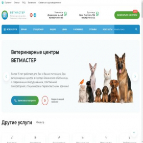 Скриншот главной страницы сайта vetmaster.ru