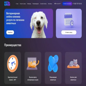 Скриншот главной страницы сайта vetmsk.online