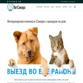 Скриншот главной страницы сайта vetsam.ru