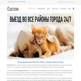 Скриншот главной страницы сайта vetsch.ru