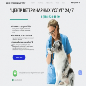 Скриншот главной страницы сайта vetser.ru
