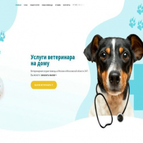Скриншот главной страницы сайта vetskor.ru
