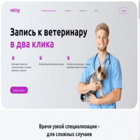 Скриншот главной страницы сайта vetsy.ru