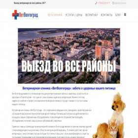 Скриншот главной страницы сайта vetvgg.ru