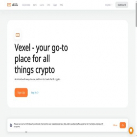 Скриншот главной страницы сайта vexel.is