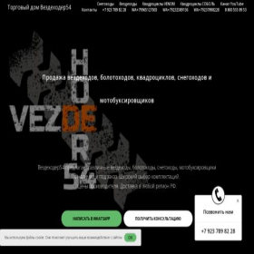 Скриншот главной страницы сайта vezdehoder54.ru
