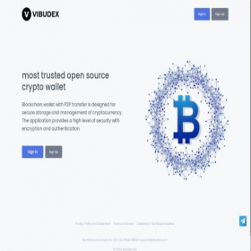 Скриншот главной страницы сайта vibudex.com