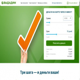 Скриншот главной страницы сайта vidadim.ru