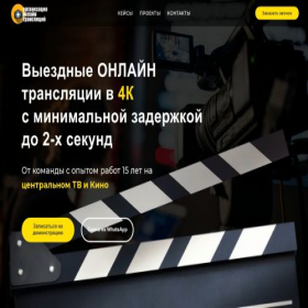 Скриншот главной страницы сайта viddion.ru