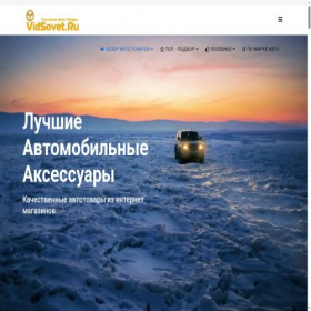 Скриншот главной страницы сайта vidsovet.ru