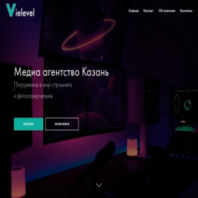 Скриншот главной страницы сайта vielevel.ru