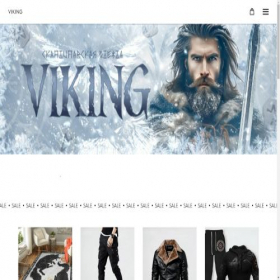 Скриншот главной страницы сайта vikingers.com