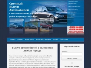 Скриншот главной страницы сайта vikup99.ru