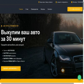 Скриншот главной страницы сайта vikupavto69.ru