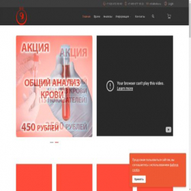 Скриншот главной страницы сайта villie.ru