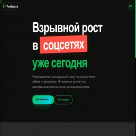 Скриншот главной страницы сайта vingboost.ru