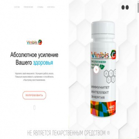 Скриншот главной страницы сайта vinibis.com
