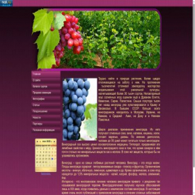 Скриншот главной страницы сайта vinograd-34.ru