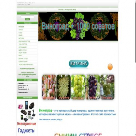Скриншот главной страницы сайта vinogradniki.ucoz.ua