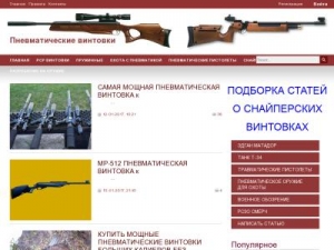 Скриншот главной страницы сайта vintovki-pnevmaticheskie.ru