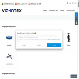 Скриншот главной страницы сайта vip-intex.by