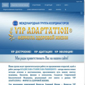 Скриншот главной страницы сайта vipdostroenie.ru