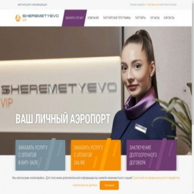 Скриншот главной страницы сайта vipint.ru