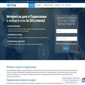 Скриншот главной страницы сайта viplte.ru