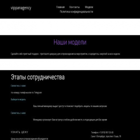 Скриншот главной страницы сайта vippanagency.ru