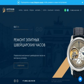 Скриншот главной страницы сайта vipskupka.ru