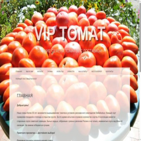 Скриншот главной страницы сайта viptomat.ru