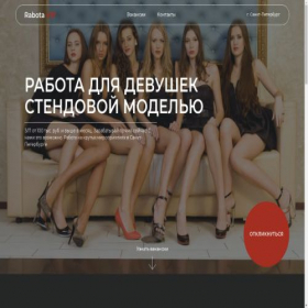Скриншот главной страницы сайта vipworkspb.ru