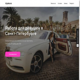 Скриншот главной страницы сайта vipworksspb.ru