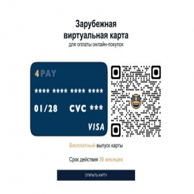 Скриншот главной страницы сайта visa4pay.com