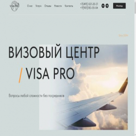 Скриншот главной страницы сайта visapro24.ru
