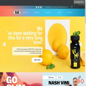 Скриншот главной страницы сайта viten.vilavi.com