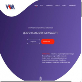 Скриншот главной страницы сайта vivasoft.pro