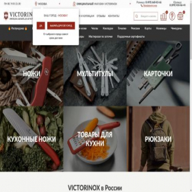 Скриншот главной страницы сайта vixrussia.ru