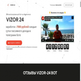 Скриншот главной страницы сайта vizorbot24.ru