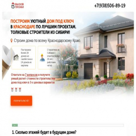 Скриншот главной страницы сайта vizov-profi-doma.online