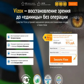 Скриншот главной страницы сайта vizox.pro