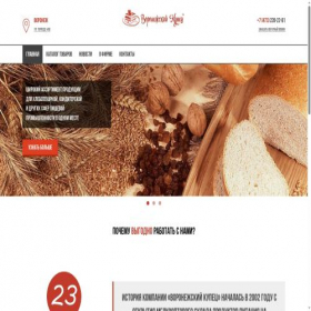 Скриншот главной страницы сайта vkmarket-vrn.ru