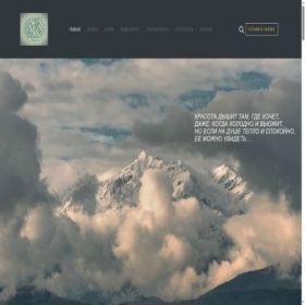 Скриншот главной страницы сайта vladconsult.ru