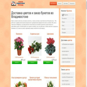 Скриншот главной страницы сайта vladivostok.myspp.ru