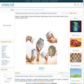 Скриншот главной страницы сайта vnore.net
